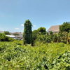 listing thumbnail image 7