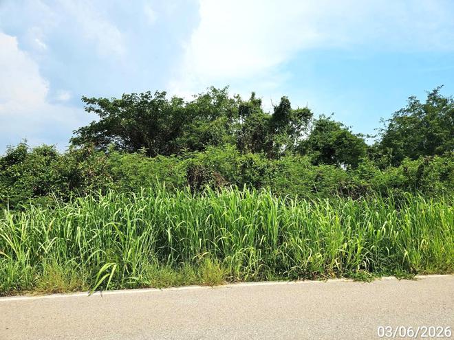 picture HOME 4565.6 Sq.w. Wang Thong Phitsanulok for 4.1M - 12/38