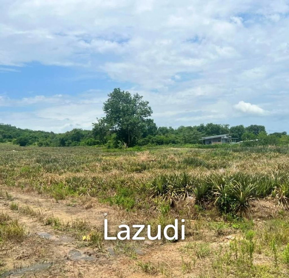 รูป SOI 112 Area : 5 rai of beautiful sloping land - รูปที่ 3/4