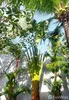 listing thumbnail image 62