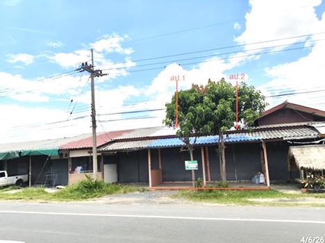 picture SHOP HOUSE 30 Sq.w. Sanom Surin for 1.6M - 15/18