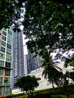Condos for rent : THE LINE Phahonyothin Park (Tower A) | 1 Bed | 26 SQ.M. | BTS + MRT | Next to Central Ladprao