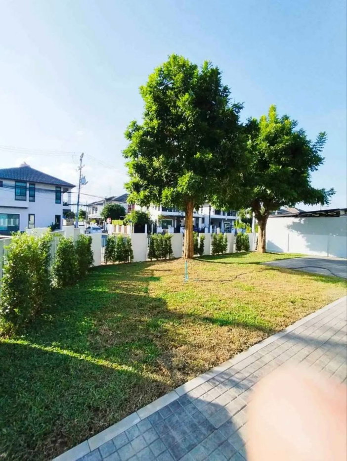 รูป ให้เช่าหมู่บ้านรินรดา สันทรายน้อย ใกล้Central Festival Chiang Maiบ้านเดี่ยวรีโนเวทใหม่ สวยพร้อมอยู่ เฟอร์นิเจอร์ครบทุกมุม บรรยากาศอบอุ่น RH-45 - รูปที่ 6/17