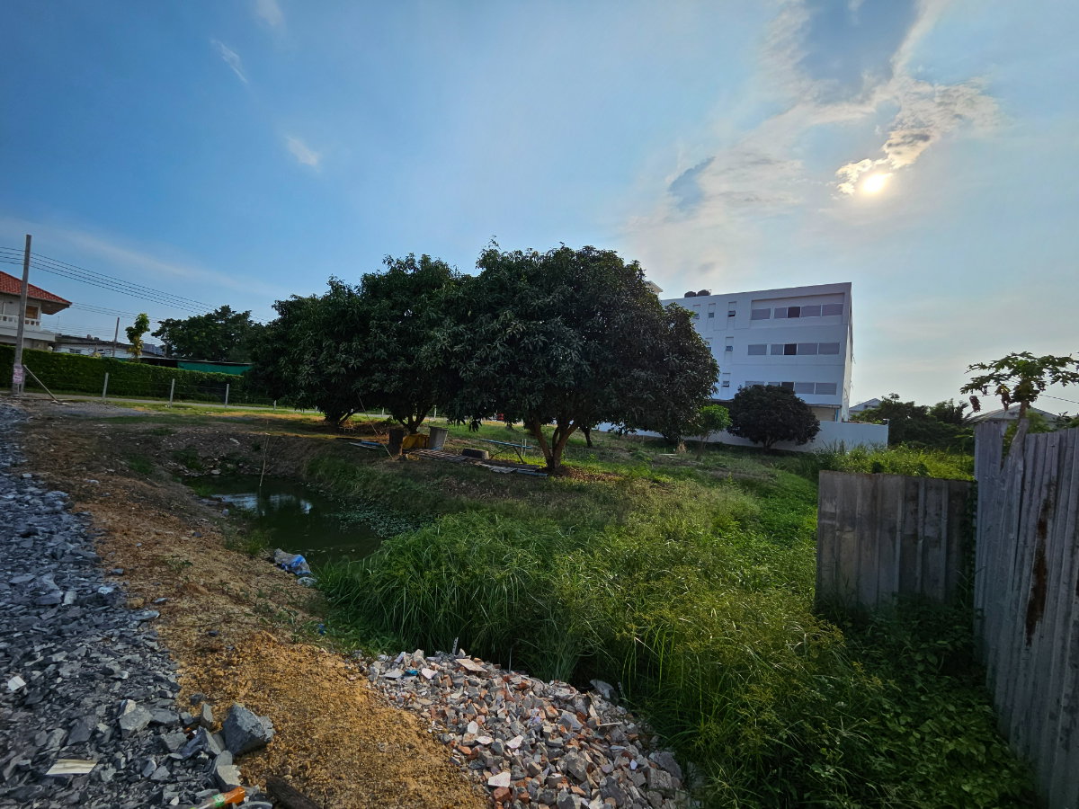 รูป ที่ดินให้เช่า เพชรเกษม 48 แยก 47 ติดปั้มบางจาก (วัดชัยฉิมพลี) - รูปที่ 4/5