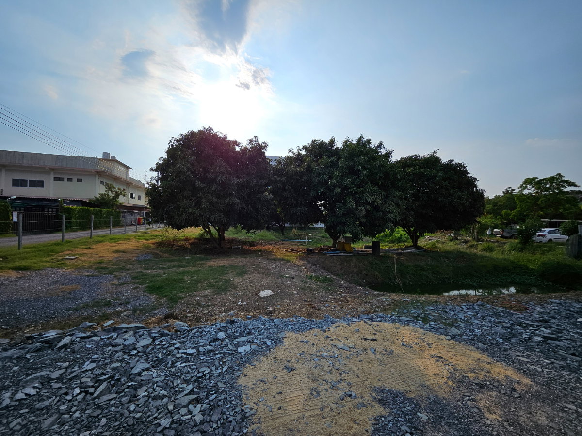 รูป ที่ดินให้เช่า เพชรเกษม 48 แยก 47 ติดปั้มบางจาก (วัดชัยฉิมพลี) - รูปที่ 3/5