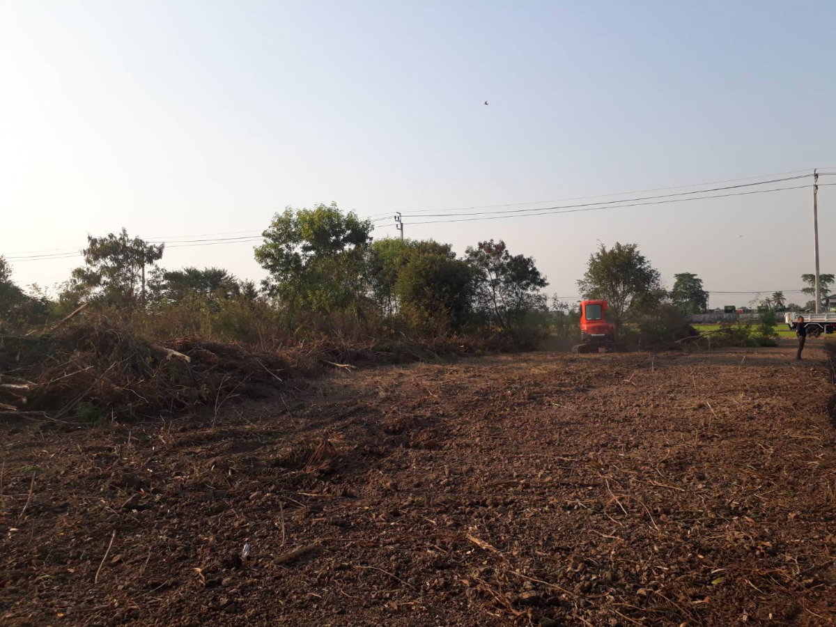 picture Land For Lease 500 Sq.Wah ***only 1,000 THB/mo.*** in Bangbuathong  - 3/6