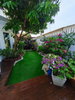 listing thumbnail image 17