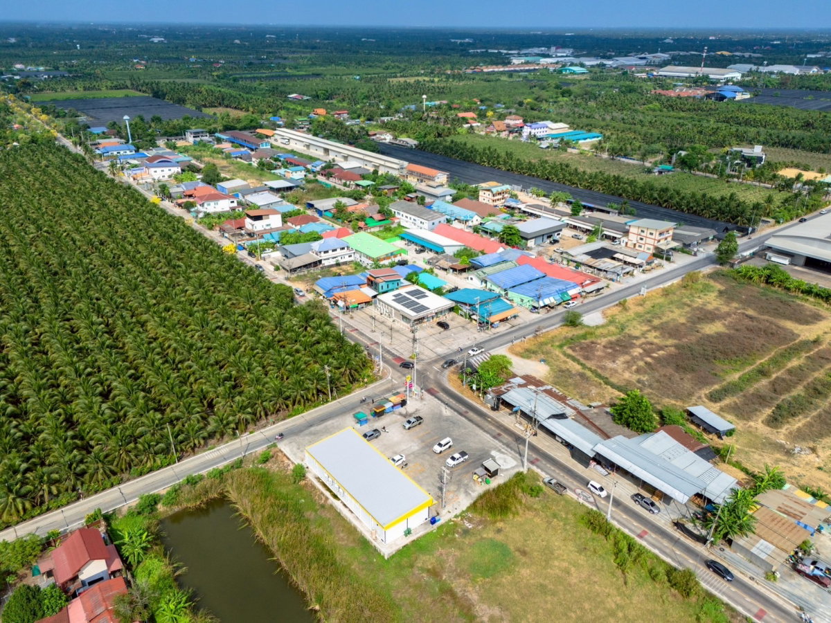 รูป 🌿 ขายที่ดินใกล้วัดท่าไม้ เริ่ม 700,000 ต่อรองได้  - รูปที่ 6/6