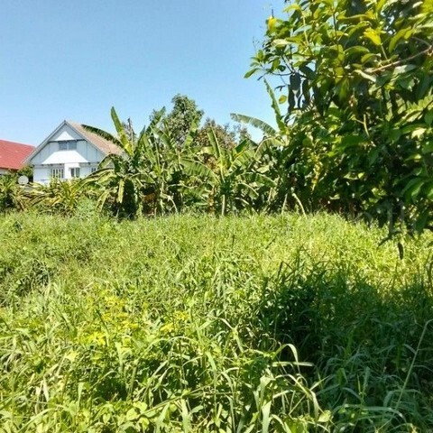 รูป ที่ดินเปล่า 347 ตร.ว ถมแล้ว ซอยร่วมใจพัฒนา บางขุนกอง ใกล้โฮมโปรราชพฤกษ์ นครอินทร์ - รูปที่ 10/15