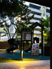 listing thumbnail image 10