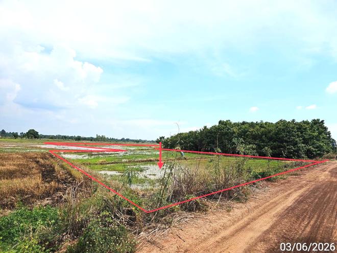 picture HOME 4565.6 Sq.w. Wang Thong Phitsanulok for 4.1M - 15/38