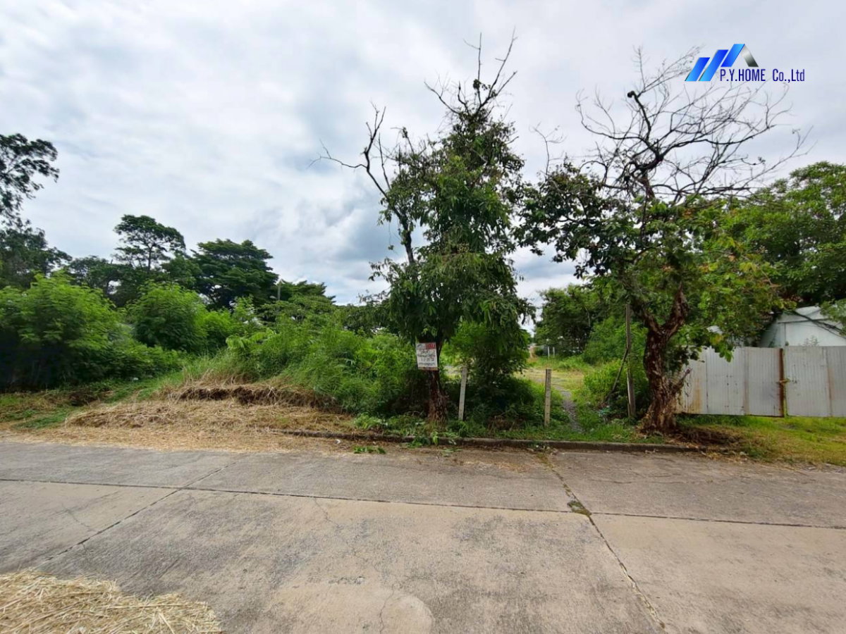 รูป ให้เช่าที่ดินถมแล้ว 1-2-20 ไร่ โครงการเวิลด์คลับแลนด์ คลอง 3 คลองหลวง ปทุมธานี - รูปที่ 2/8
