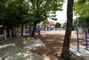 listing thumbnail image 21