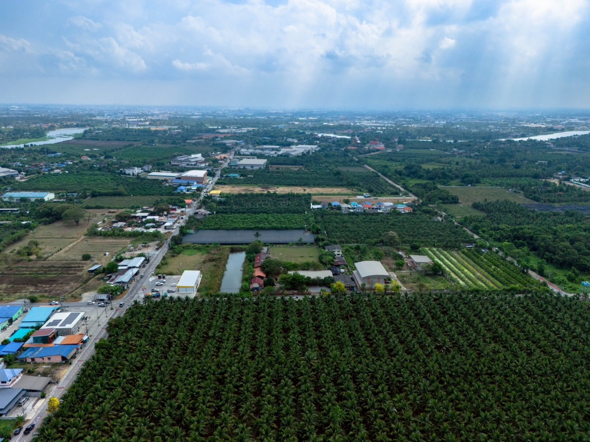รูป 🌿 ขายที่ดินใกล้วัดท่าไม้ เริ่ม 700,000 ต่อรองได้  - รูปที่ 5/6