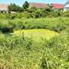 listing thumbnail image 13
