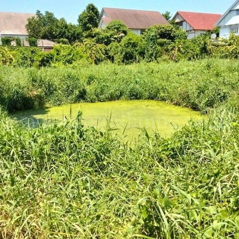 รูป ที่ดินเปล่า 347 ตร.ว ถมแล้ว ซอยร่วมใจพัฒนา บางขุนกอง ใกล้โฮมโปรราชพฤกษ์ นครอินทร์ - รูปที่ 14/15