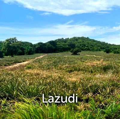 Land for sale Thap Tai, Prachuap Khiri Khan : SOI 112 Area : 5 rai of beautiful sloping land