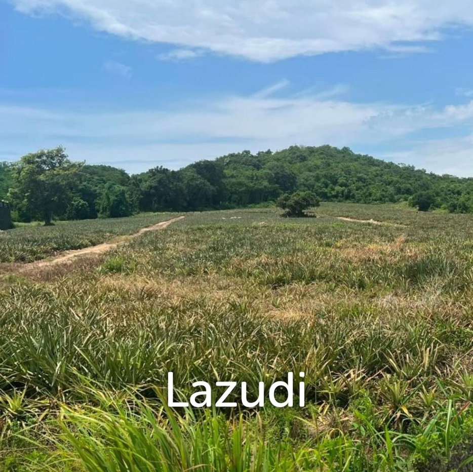 รูป SOI 112 Area : 5 rai of beautiful sloping land - รูปที่ 1/4