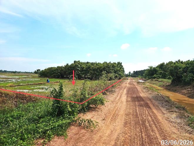 picture HOME 4565.6 Sq.w. Wang Thong Phitsanulok for 4.1M - 14/38