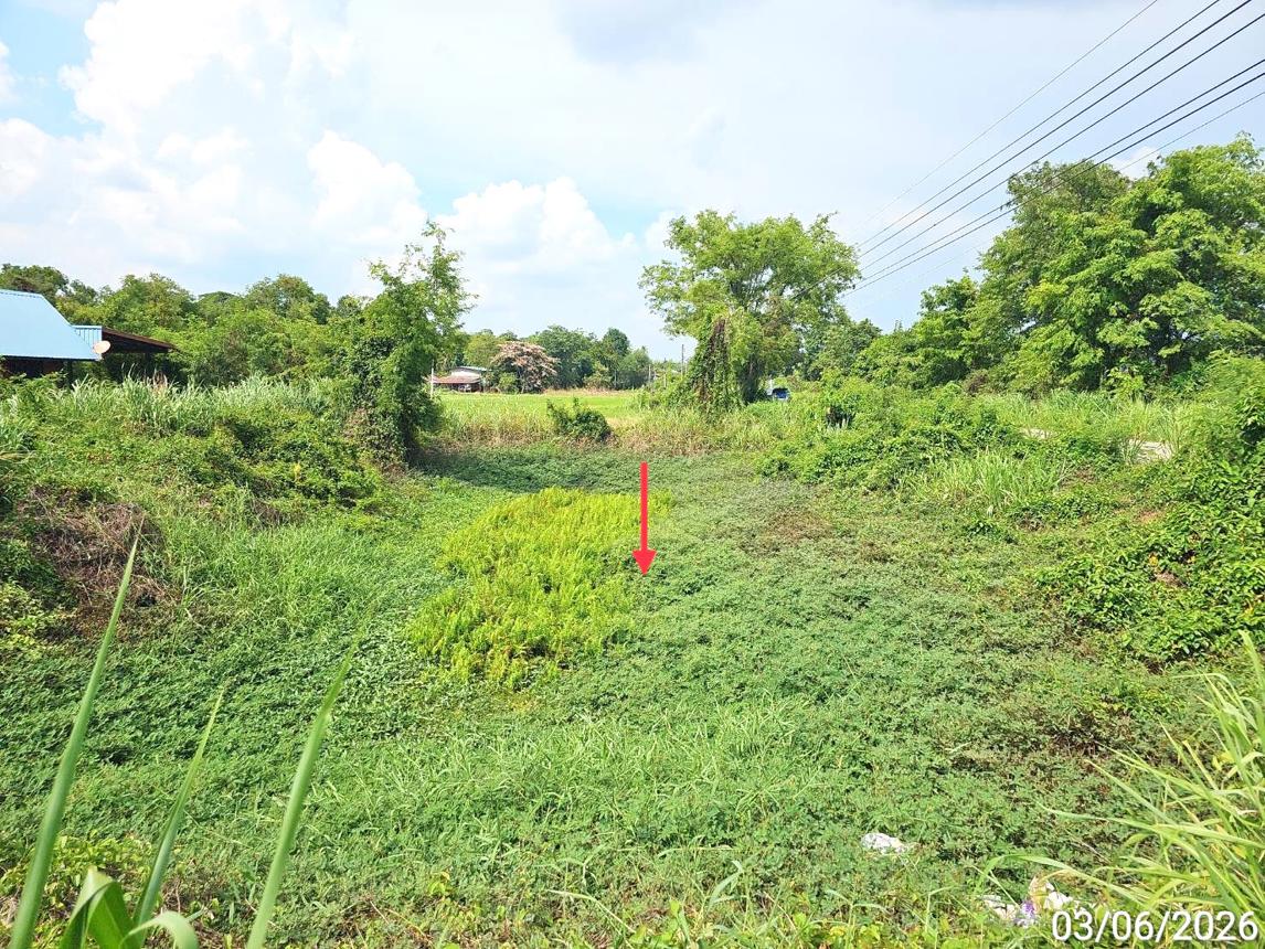 picture HOME 4565.6 Sq.w. Wang Thong Phitsanulok for 4.1M - 34/38