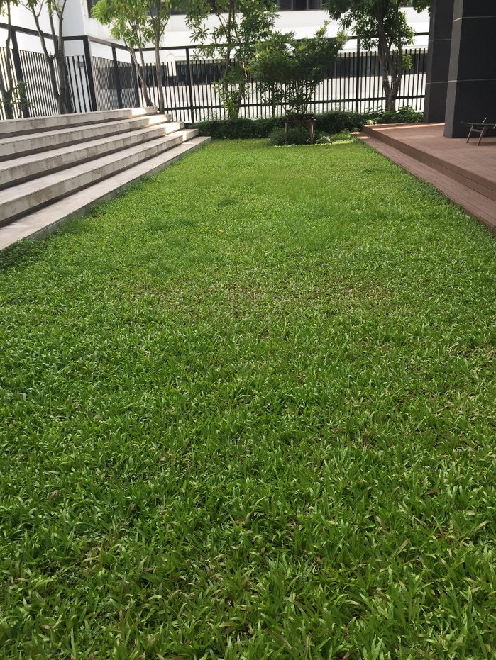 รูป SALE The Capital condo Thonglor ขายพร้อมผู้เช่า (owner post) - รูปที่ 10/11