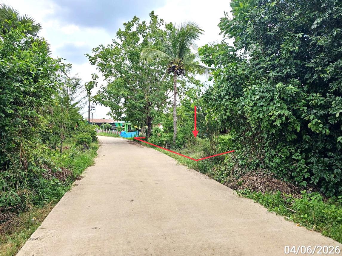 picture LAND 3912.5 Sq.w. Bang Rakam Phitsanulok for 1.8M - 9/18