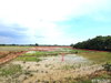 listing thumbnail image 32