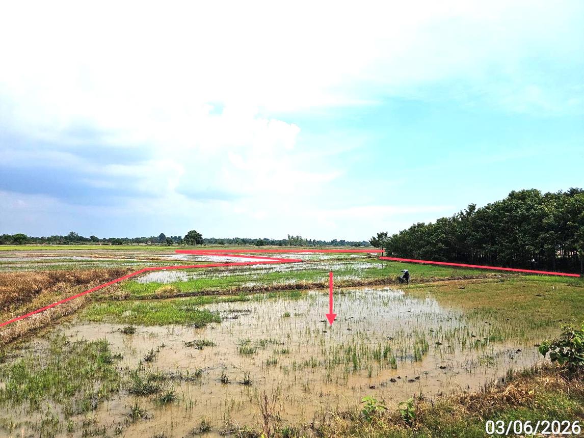 picture HOME 4565.6 Sq.w. Wang Thong Phitsanulok for 4.1M - 33/38