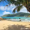 listing thumbnail image 11