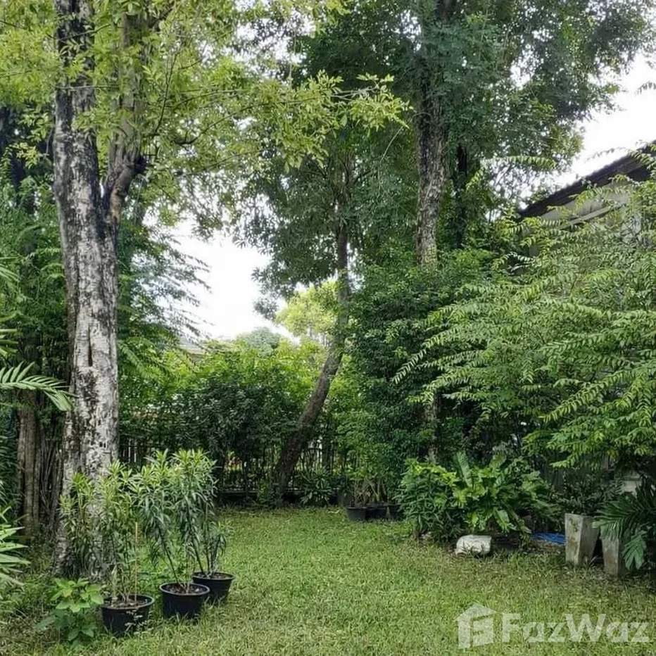 รูป บ้านเดี่ยวให้เช่า 4 ห้องนอน ในโครงการ สัมมากร รามคำแหง 112 5973949 - รูปที่ 10/12