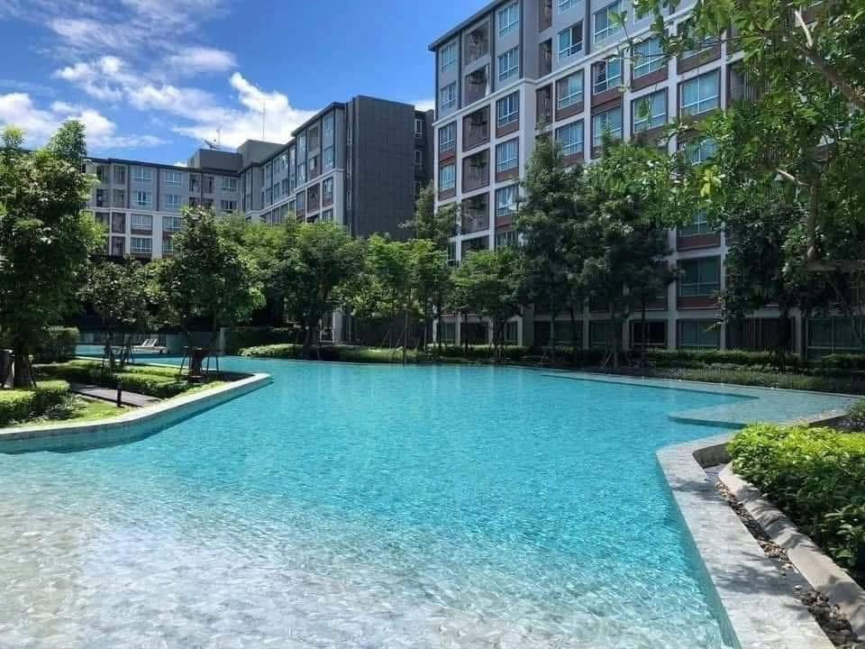 picture ✅ For Rent: D Condo Ping, 7th Floor, 1 Bedroom, 37 sq m, 13,000 THB ☎️ 064-792-4426 (Ben) - 11/13