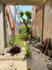 listing thumbnail image 2