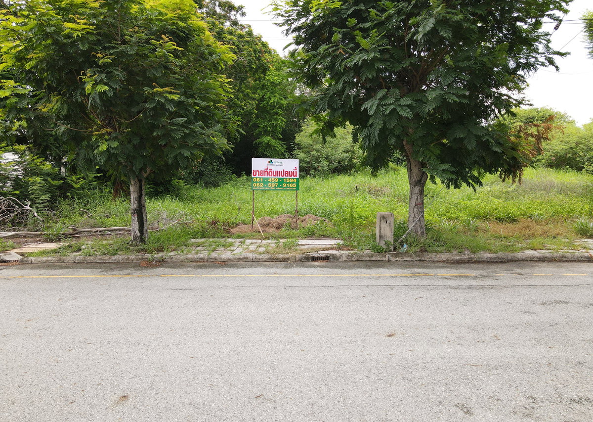 รูป ขายที่ดิน ในโครงการวิจิตรธานี บางนา-ตราด บางปะกง ฉะเชิงเทรา - รูปที่ 4/18