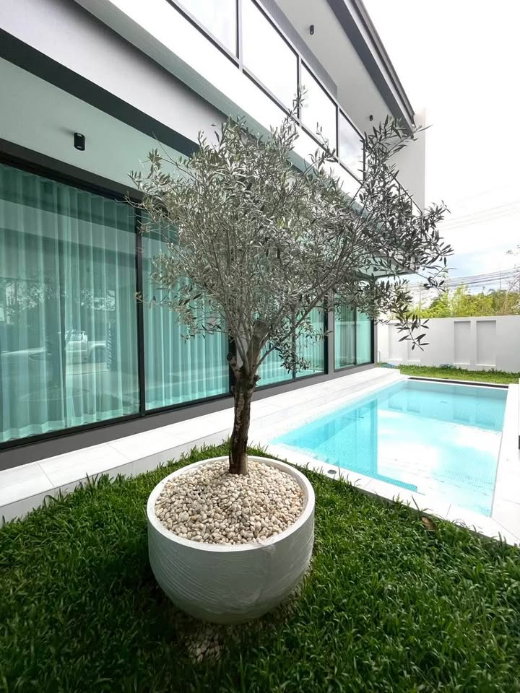 รูป Pool Villa2ชั้นในโครงการ ทำเลใกล้กาดฝรั่ง  #หางดง  - ราคา 60,000/เดือน   #AHD-V0104 - รูปที่ 2/24
