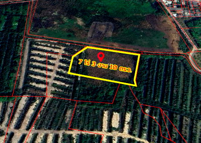 Land for sale : Land for sale, Sukhumvit Road, Tung Kwai Kin Subdistrict, Klaeng District, Rayong Province