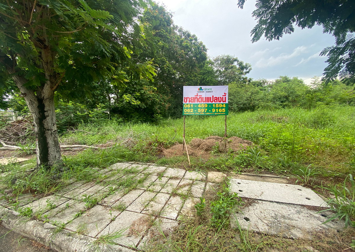 รูป ขายที่ดิน ในโครงการวิจิตรธานี บางนา-ตราด บางปะกง ฉะเชิงเทรา - รูปที่ 2/18