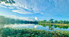 listing thumbnail image 21