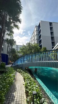Income-Generating 1-Bedroom Residence at Dcondo Reef Kathu 6613278
