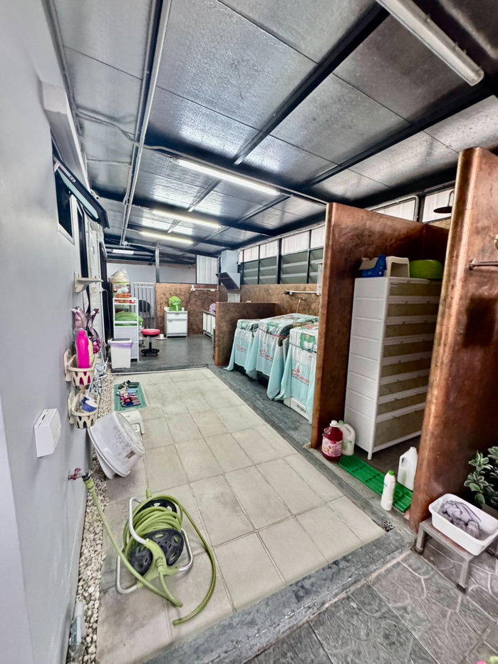 รูป ขายบ้านเดี่ยว ราคาบ้านแฝด 9 ล้าน 5 แสน และ 12 ล้าน  - รูปที่ 30/32