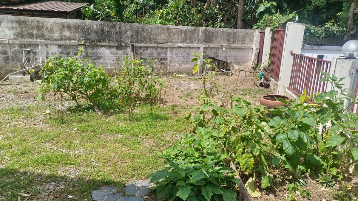 รูป 🏡ขายบ้านเดี่ยวชั้นเดียว พร้อมผู้เช่า หมู่บ้านฟิวเจอร์แลนด์ ทำเลย่านหนองควาย T.063-6649056 - รูปที่ 5/22