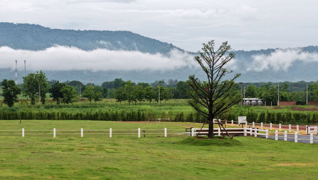 รูป Call : 092-929-6575 ขายที่ดินเขาใหญ่ ปากช่อง ถนนเส้นทอสคาน่า วิวอุทยานเขาใหญ่ และ Toscsna 180 องศา ที่ดินถมแล้ว 1-2 เมตร พร้อมปลูกสร้าง - รูปที่ 6/12