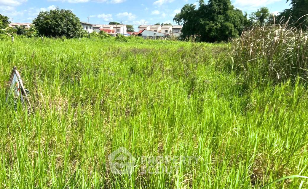 รูป ขายที่ดินเปล่า โซนนองจอก กรุงเทพมหานคร พร้อมสร้างบ้านตามใจ (ID 3121074) - รูปที่ 3/3