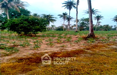 Land for sale Si Racha Chonburi : Land For Sale In Bang Phra, Si Racha, Chon Buri (ID 1972711)