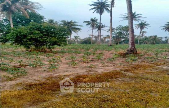 picture Land For Sale In Bang Phra, Si Racha, Chon Buri (ID 1972711) - 1/6