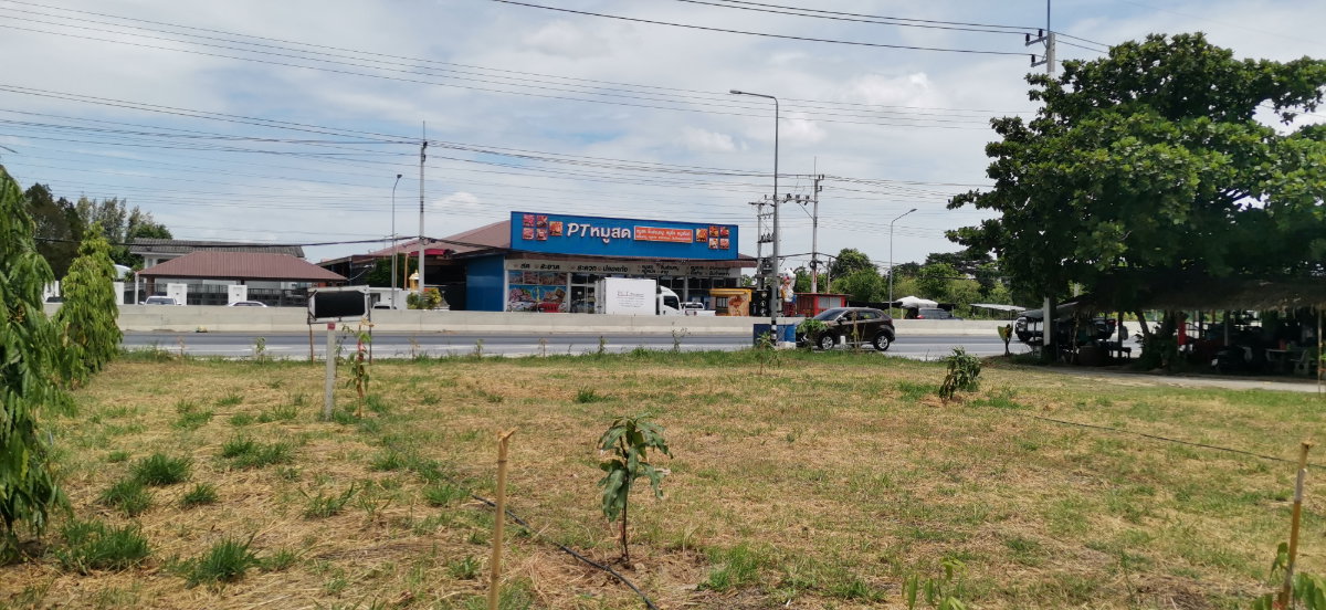 picture LAND FOR RENT 100 Square wah  land next to the road - 2/3