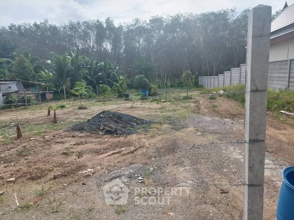 picture Land For Sale In Si Sunthon Thalang Phuket (ID 2215041) - 2/5