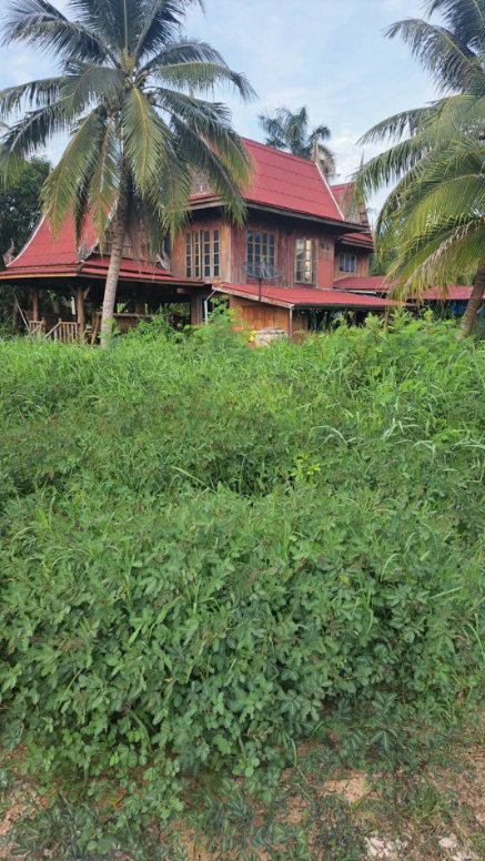 รูป ขาย ที่ดินพร้อมบ้านเรือนไทย บรรยากาศร่มรื่นเป็นส่วนตัว ทำเลดีบ้านแพ้ว สมุทรสาคร ขนาด 4 ไร่ 2 งานเศษ - รูปที่ 4/6