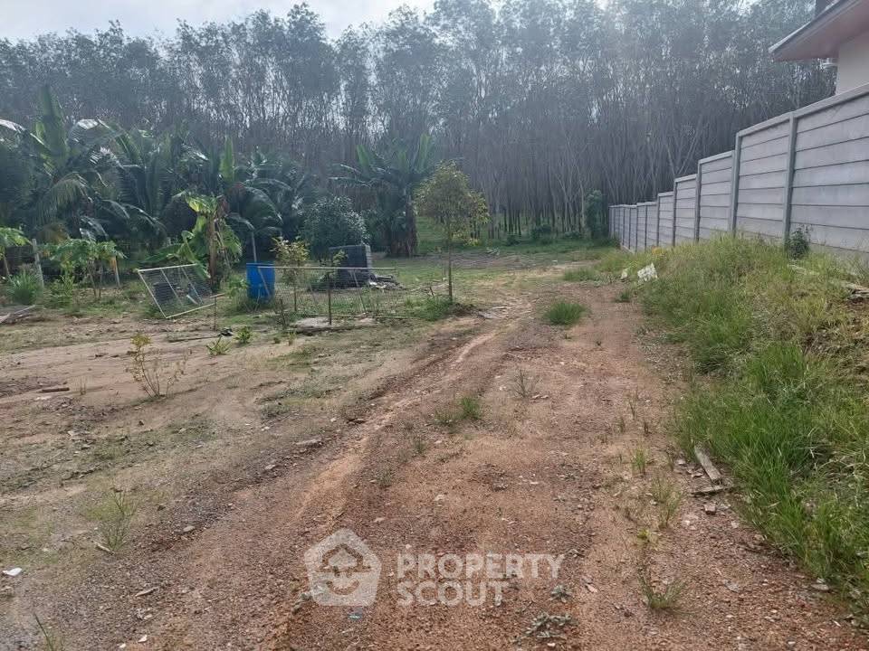 picture Land For Sale In Si Sunthon Thalang Phuket (ID 2215041) - 5/5