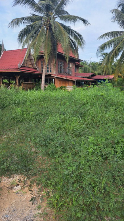 รูป ขาย ที่ดินพร้อมบ้านเรือนไทย บรรยากาศร่มรื่นเป็นส่วนตัว ทำเลดีบ้านแพ้ว สมุทรสาคร ขนาด 4 ไร่ 2 งานเศษ - รูปที่ 5/6