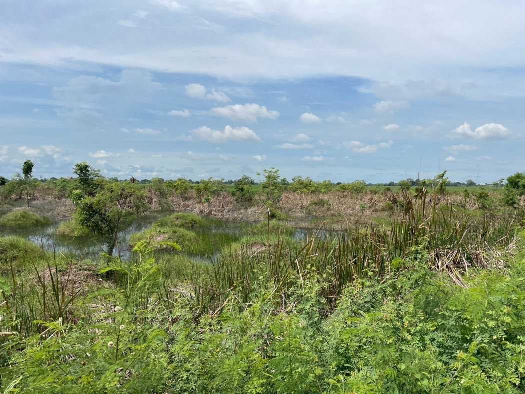 picture Urgent sale! Beautiful plot of land, fronting a main road, prime location, Khlong Luang Phaeng Subdistrict - 5/12